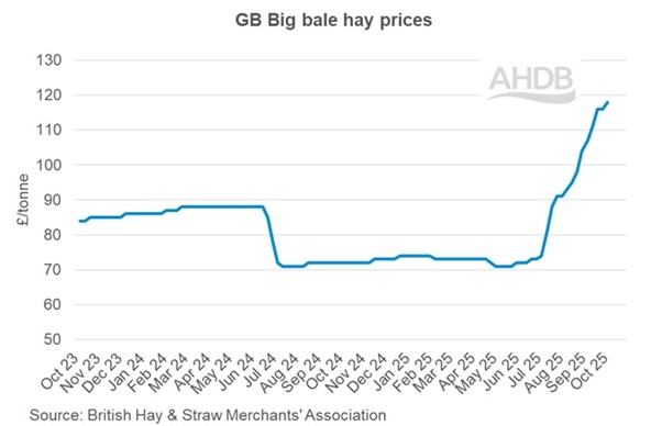 graph showing hay prices
